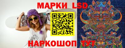 apvp Славгород
