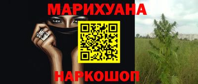 apvp Славгород