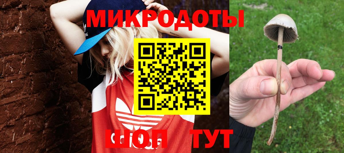 Советск  наркота  Вход с VPN  Псилоцибиновые грибы MAGIC MUSHROOMS 